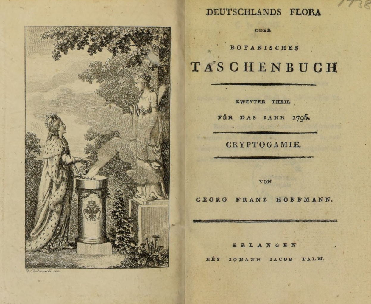 Frontispiz und Titelblatt von Georg Franz Hoffmanns Deutschlands Flora.