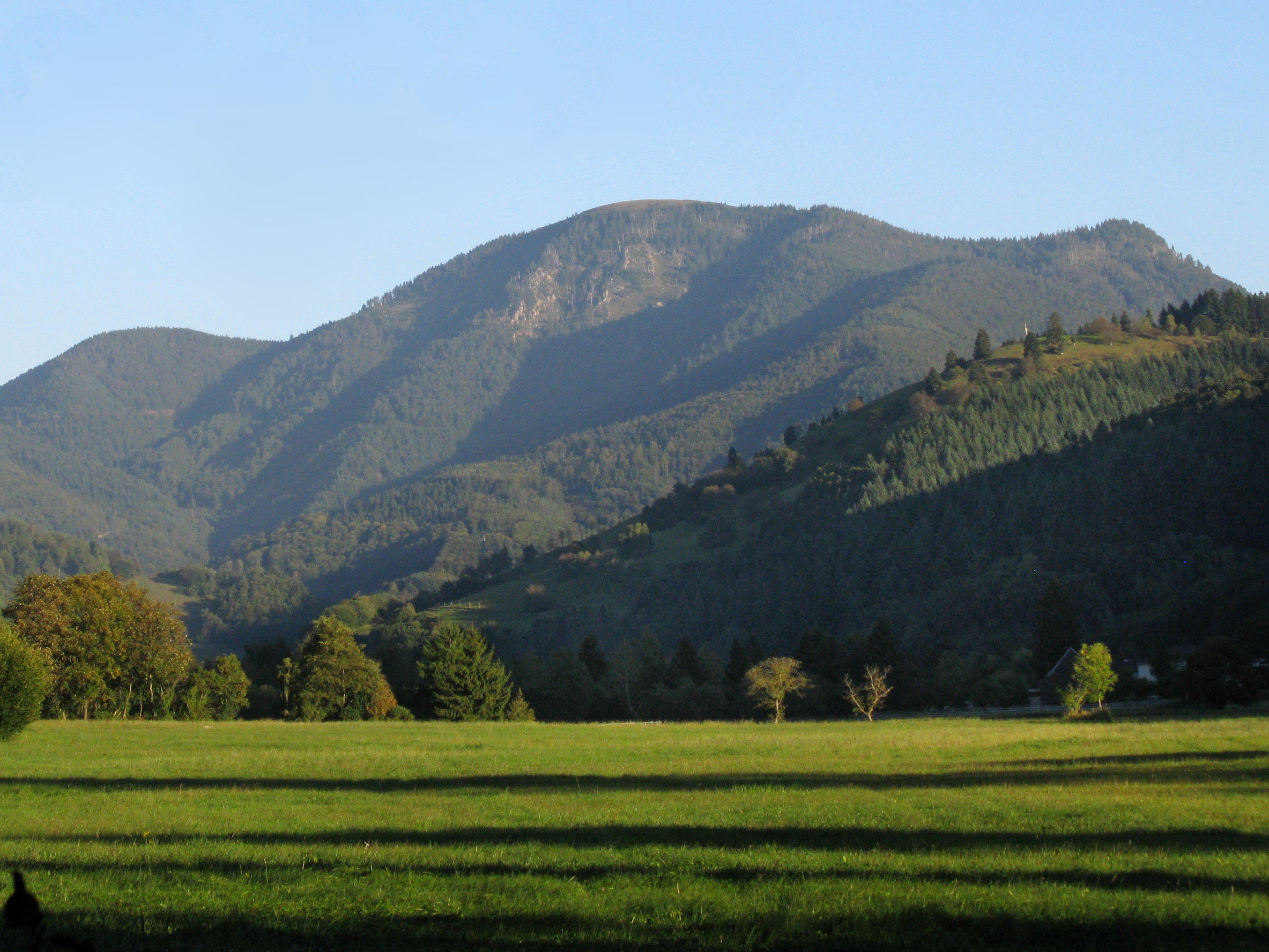 Blick über eine Wiese und bewaldete Berghänge auf den Gipfel des Belchen